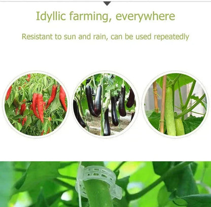 Plant Support Clips — Gentle Hold, Healthy Growth - 100 Pieces
