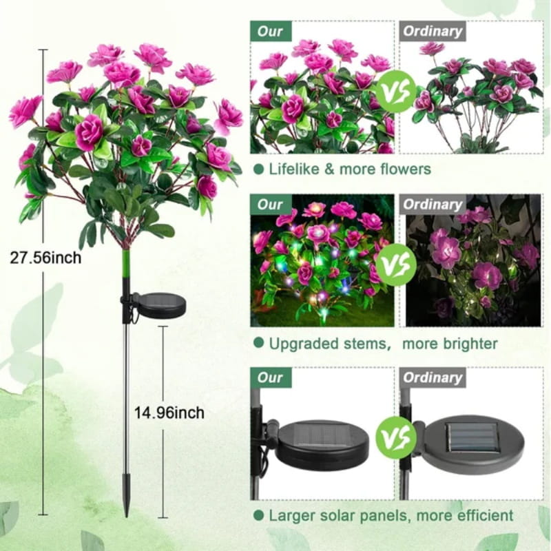 BloomLume – Instantly Transform Nights