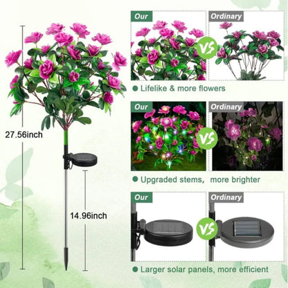 BloomLume – Instantly Transform Nights