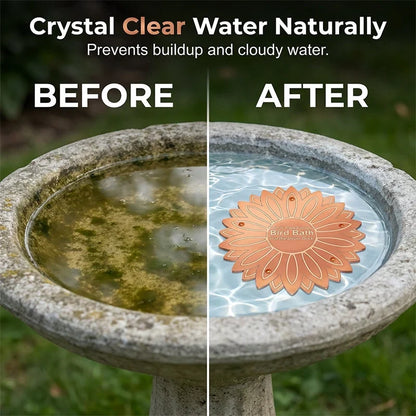 LumaPure Copper Disk — Pure Water, Happy Birds