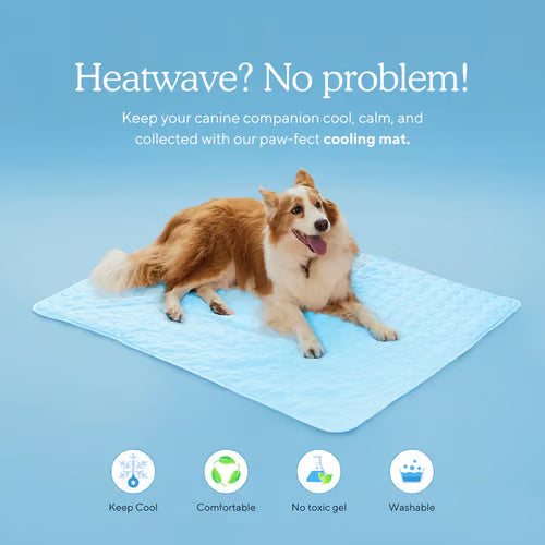 ChillPaw Mat — Cool Comfort Everywhere