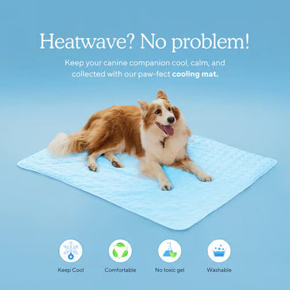 ChillPaw Mat — Cool Comfort Everywhere