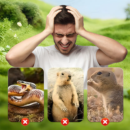 Silent Protector — Effortless Pest-Free Peace