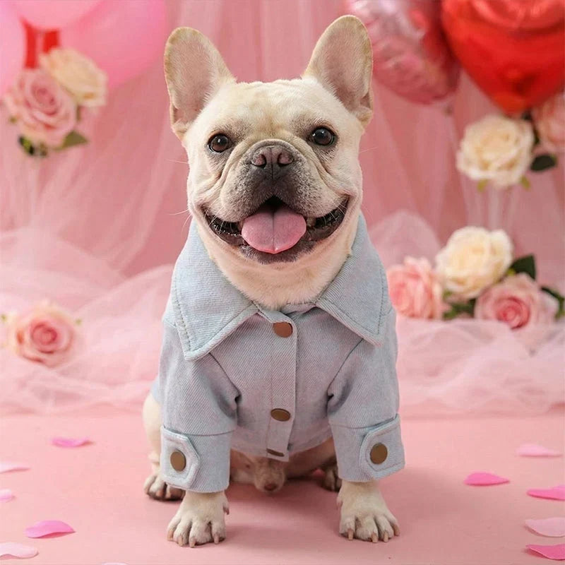 LuxPup Jacket — Cozy Confidence Everywhere