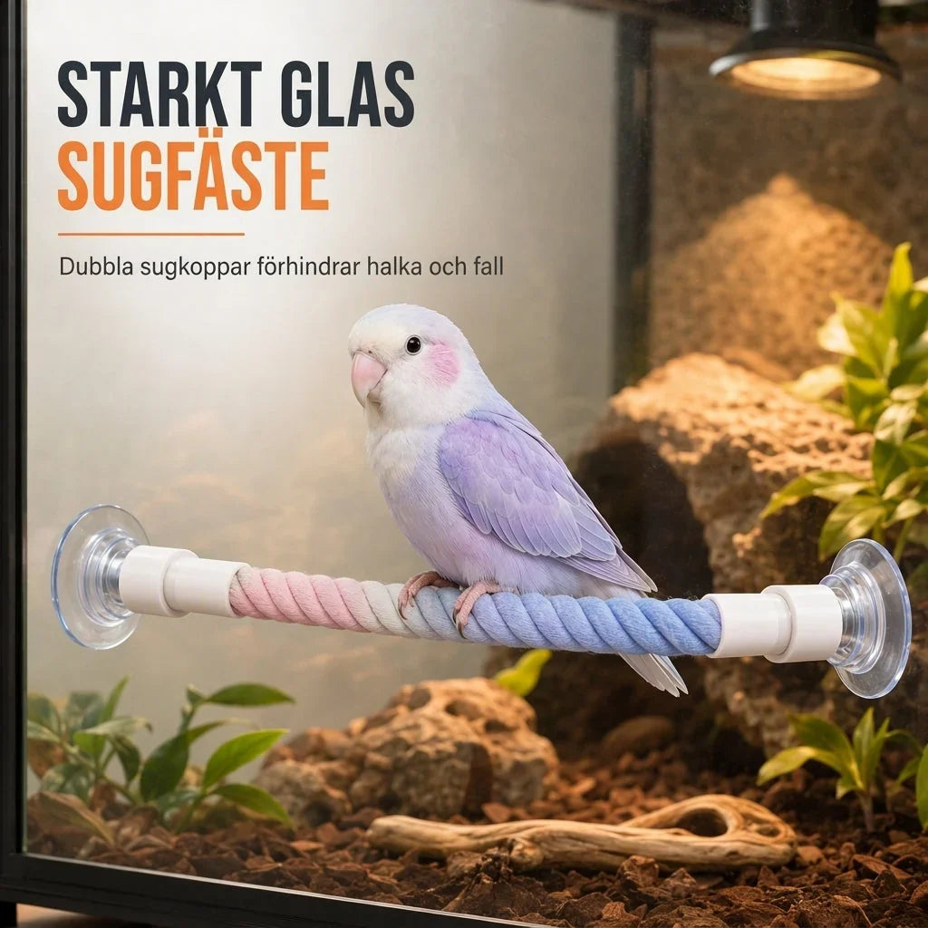 FeatherFlex Perch — Ultimate Comfort, Endless Fun