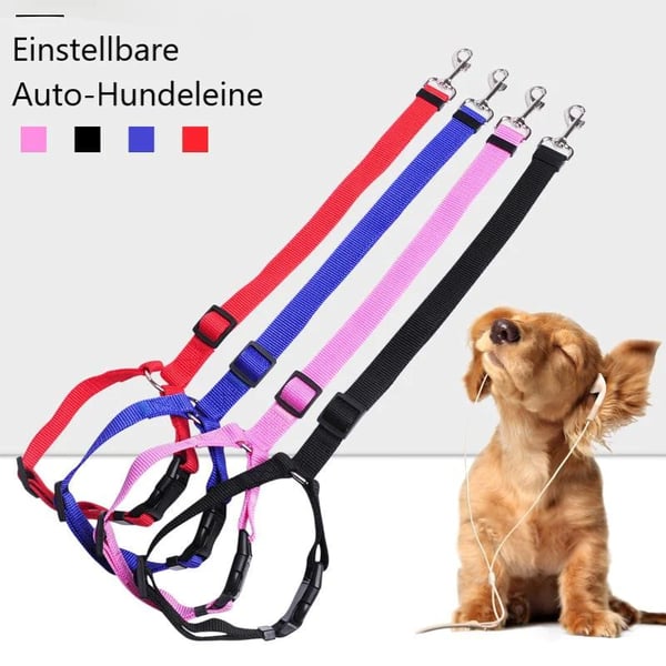 EverPaw Secure Harness — Calm, Safe, Confident