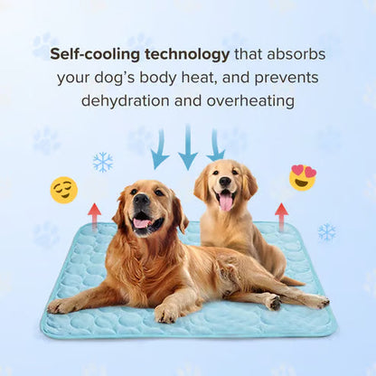 ChillPaw Mat — Cool Comfort Everywhere