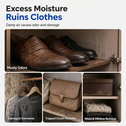 SmartaDry — Banish Dampness Instantly