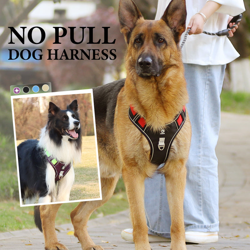 SafeWalk — Safe Dog Harness | 50% OFF