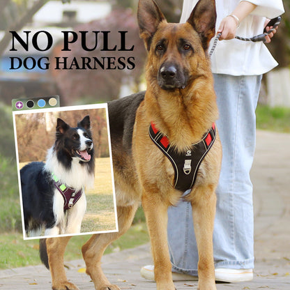 SafeWalk — Safe Dog Harness | 50% OFF