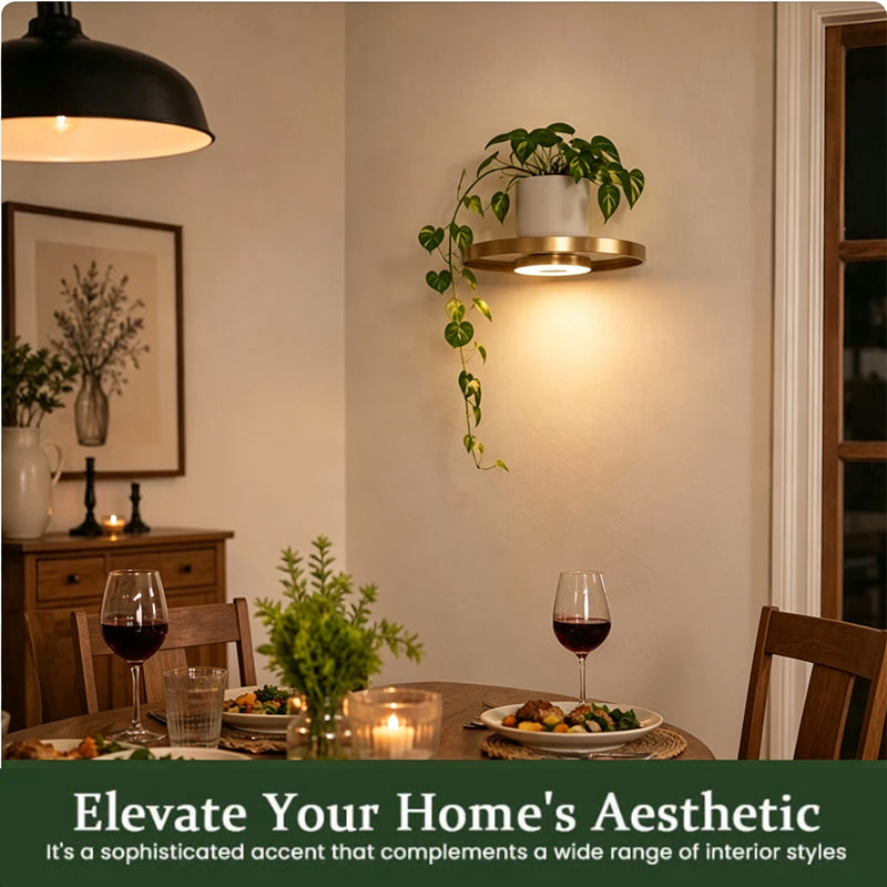 AmbientRay — Warmth, Elegance, Peace