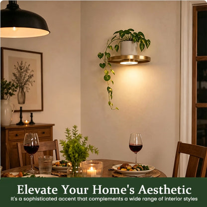 AmbientRay — Warmth, Elegance, Peace