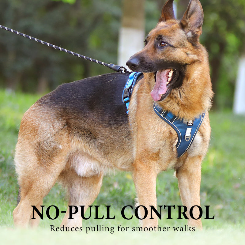 SafeWalk — Safe Dog Harness | 50% OFF