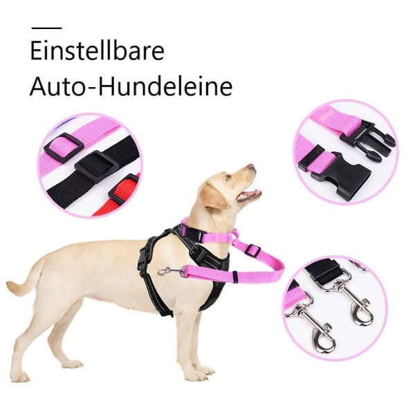 EverPaw Secure Harness — Calm, Safe, Confident