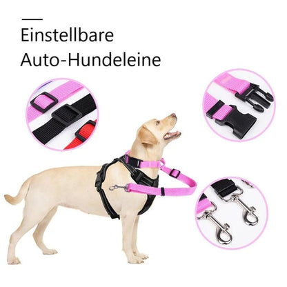 EverPaw Secure Harness — Calm, Safe, Confident
