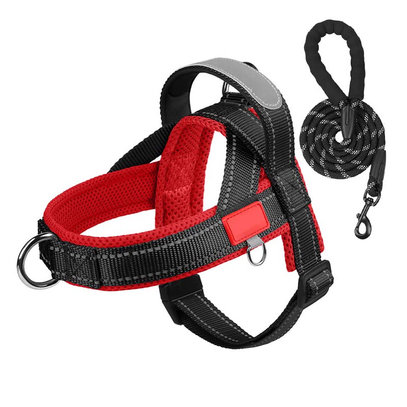 Total Comfort Harness — Stress-Free, Safe Walks