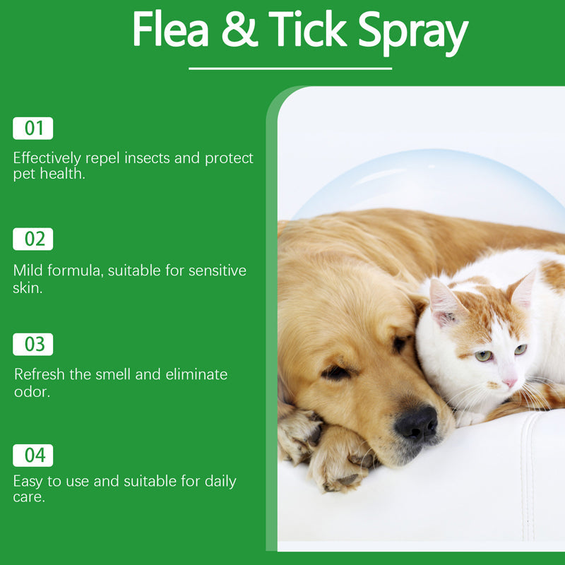 FurShield — Quiet Comfort, Fur-Free Pets