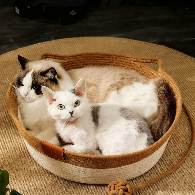 PurrNest – The Ultimate Cozy Playmate