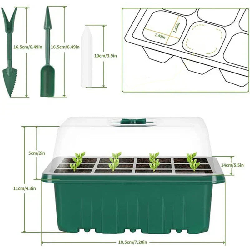 Seedling Success — Grow Faster, Grow Stronger