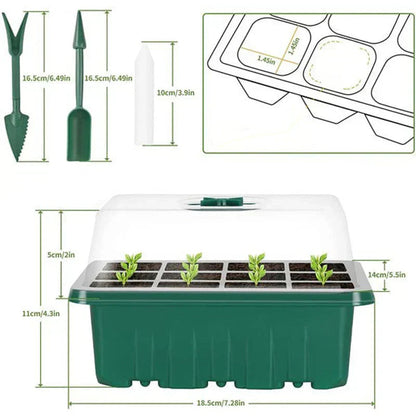 Seedling Success — Grow Faster, Grow Stronger