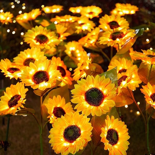 Garden Rays – Enchanting Warm Glow