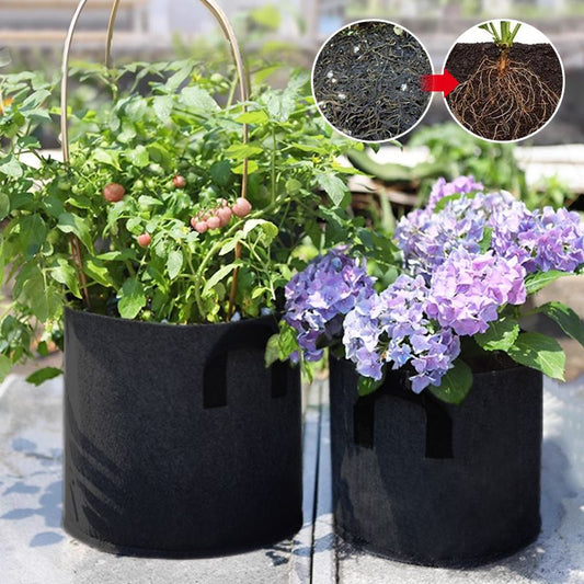 GeoRoot Planting Bags — Healthy Roots, Maximum Growth