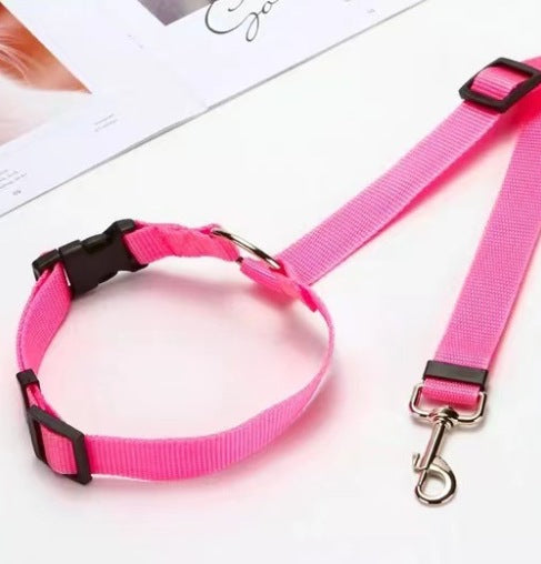 EverPaw Secure Harness — Calm, Safe, Confident