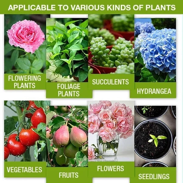 VitaBloom — Ignite Lush, Vibrant Growth