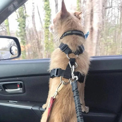 IronPaw SecureLeash — Ultimate Ride Calm