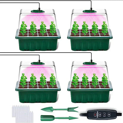 Seedling Success — Grow Faster, Grow Stronger