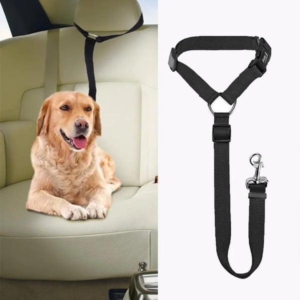 EverPaw Secure Harness — Calm, Safe, Confident