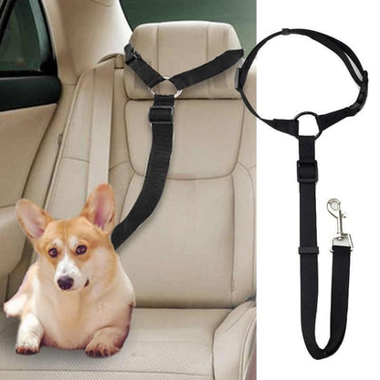 EverPaw Secure Harness — Calm, Safe, Confident