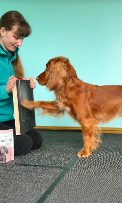 ApexPaw Nail Board — Stress-Free Nail Care