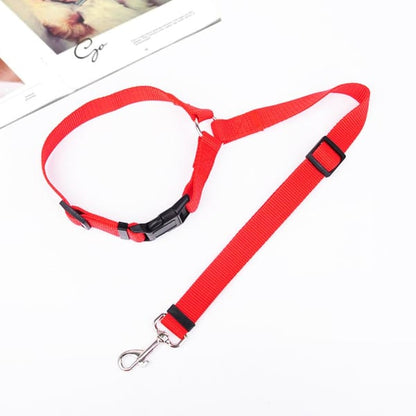 EverPaw Secure Harness — Calm, Safe, Confident