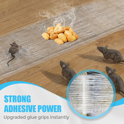 ClearGuard Pest Strips — Invisible Protection, Immediate Control