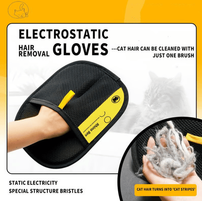 FurVerve — Effortless Coat Care