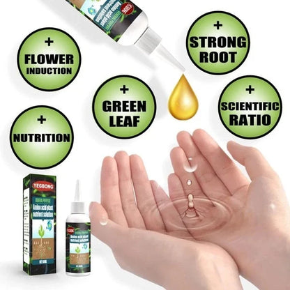 VitaBloom — Ignite Lush, Vibrant Growth