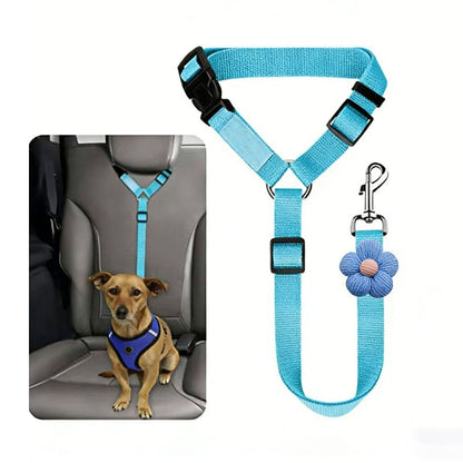 WagSecure – Freedom, Security, Comfort