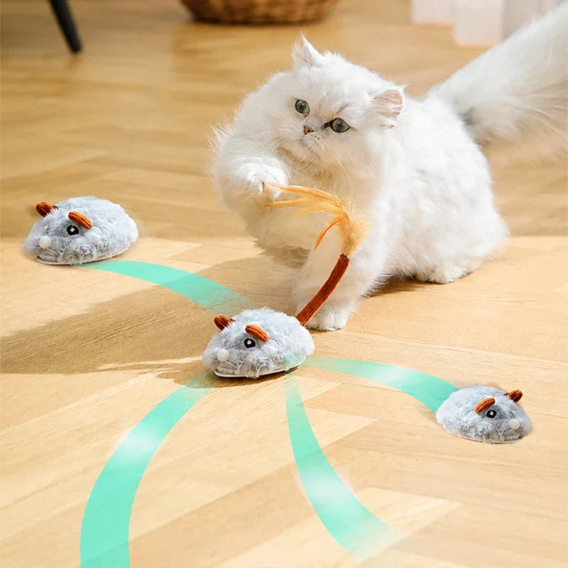 Electric Cat Mouse — Unleash Playful Predator Instincts
