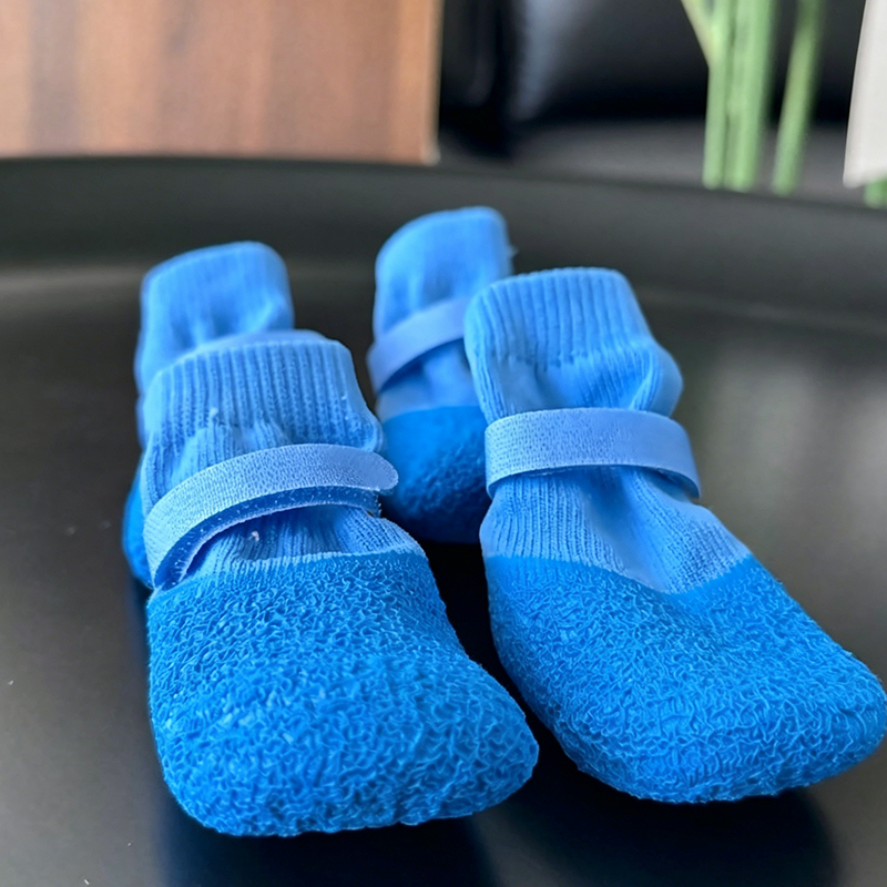 AquaPaw Guard — Warm, Dry, Safe