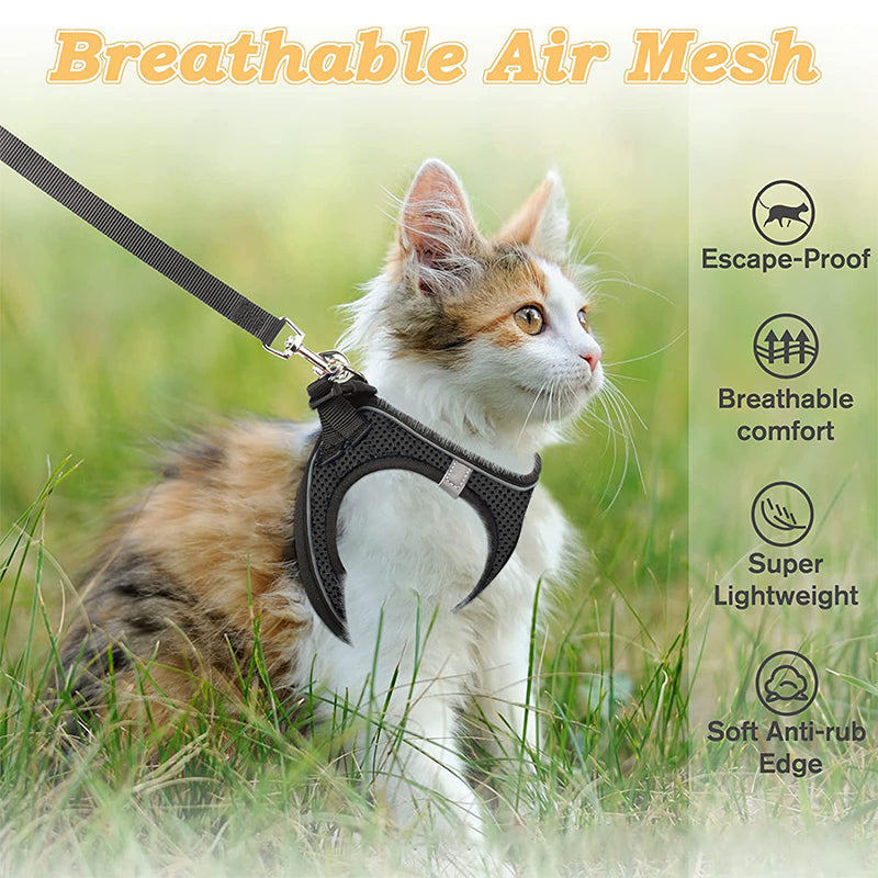 LumaTail Harness — Featherlight Freedom Secure