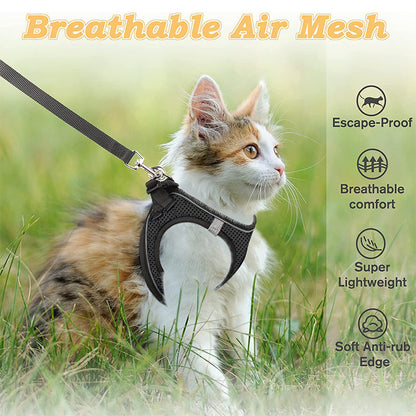 LumaTail Harness — Featherlight Freedom Secure