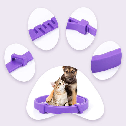 PurpleProwler Collar — Comfortable Protection, Mosquito-Free Enjoyment