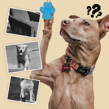 PawTread — כפות בטוחות בכל מקום
