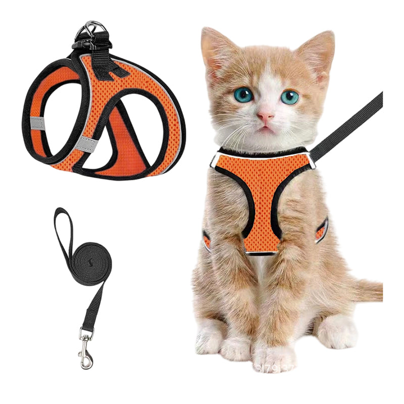 LumaTail Harness — Featherlight Freedom Secure