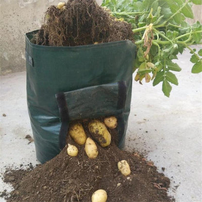 GrowMate — Bountiful Harvest, Effortless Joy