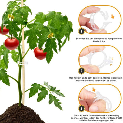 Plant Support Clips — Gentle Hold, Healthy Growth - 100 Pieces