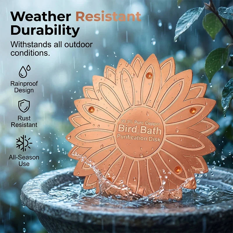 LumaPure Copper Disk — Pure Water, Happy Birds