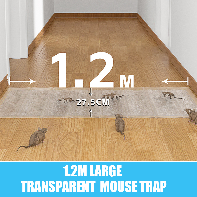 ClearGuard Pest Strips — Invisible Protection, Immediate Control