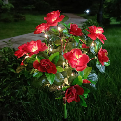 BloomLume – Instantly Transform Nights
